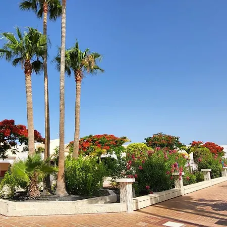 公寓 Palms Patio *