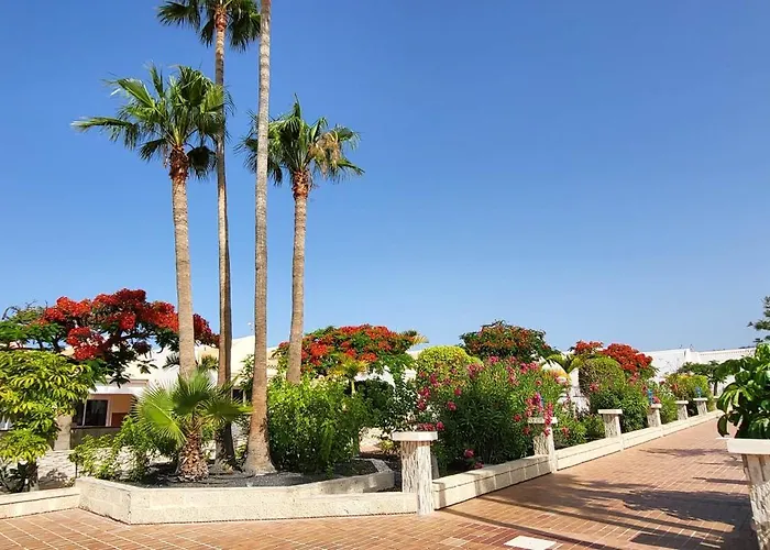 公寓 Palms Patio *